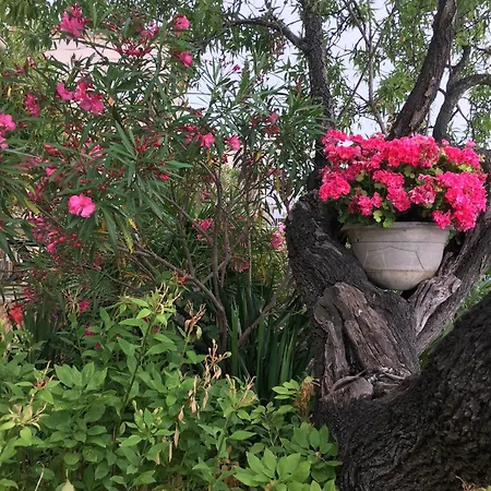 L'escarpee Belle Bed & Breakfast